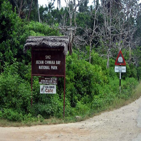 1 day Jozani Forest tour in Zanzibar